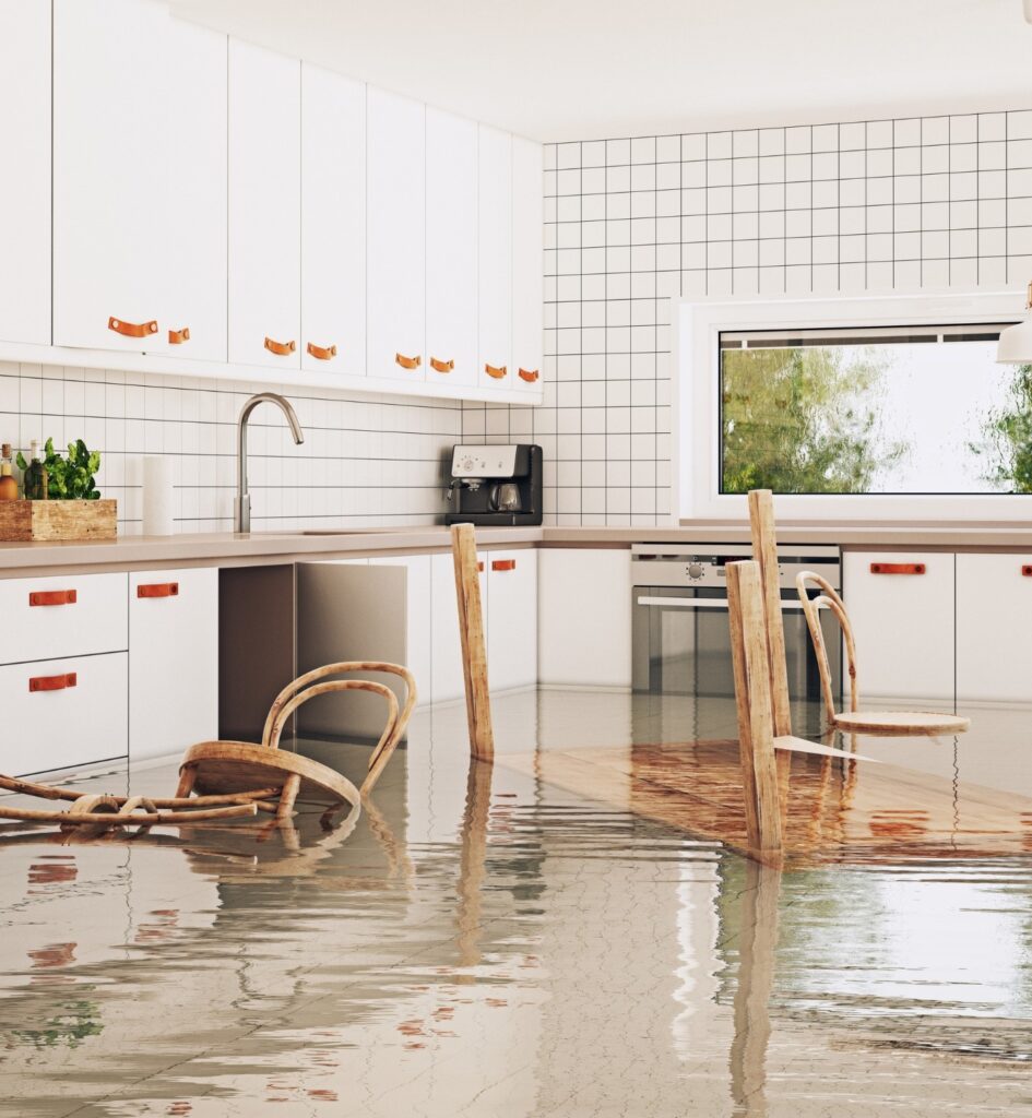 Flood Damage: Immediate Steps to Take After a Disaster